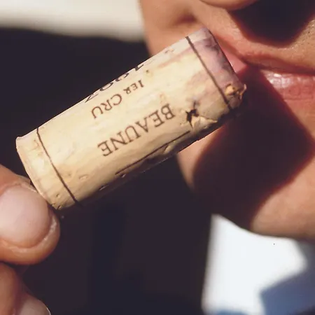 호텔 머큐어 노트르담 생 제르맹 데 프레