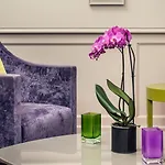 Mercure Notre Dame Saint Germain Des Prés Hotel 4*
