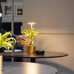 Mercure Notre Dame Saint Germain Des Prés Hotel 4*
